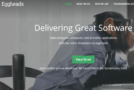 MineThemes web prezentacija