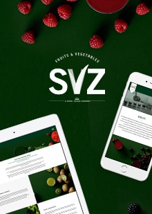 Web dizajn i development SVZ
